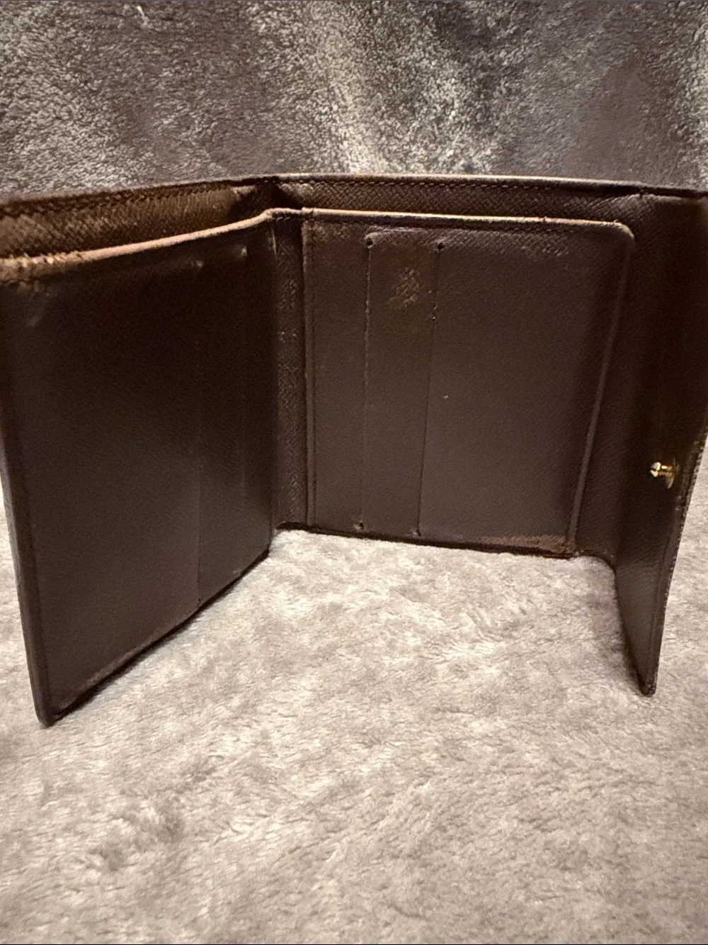 Louis Vuitton used ebene may